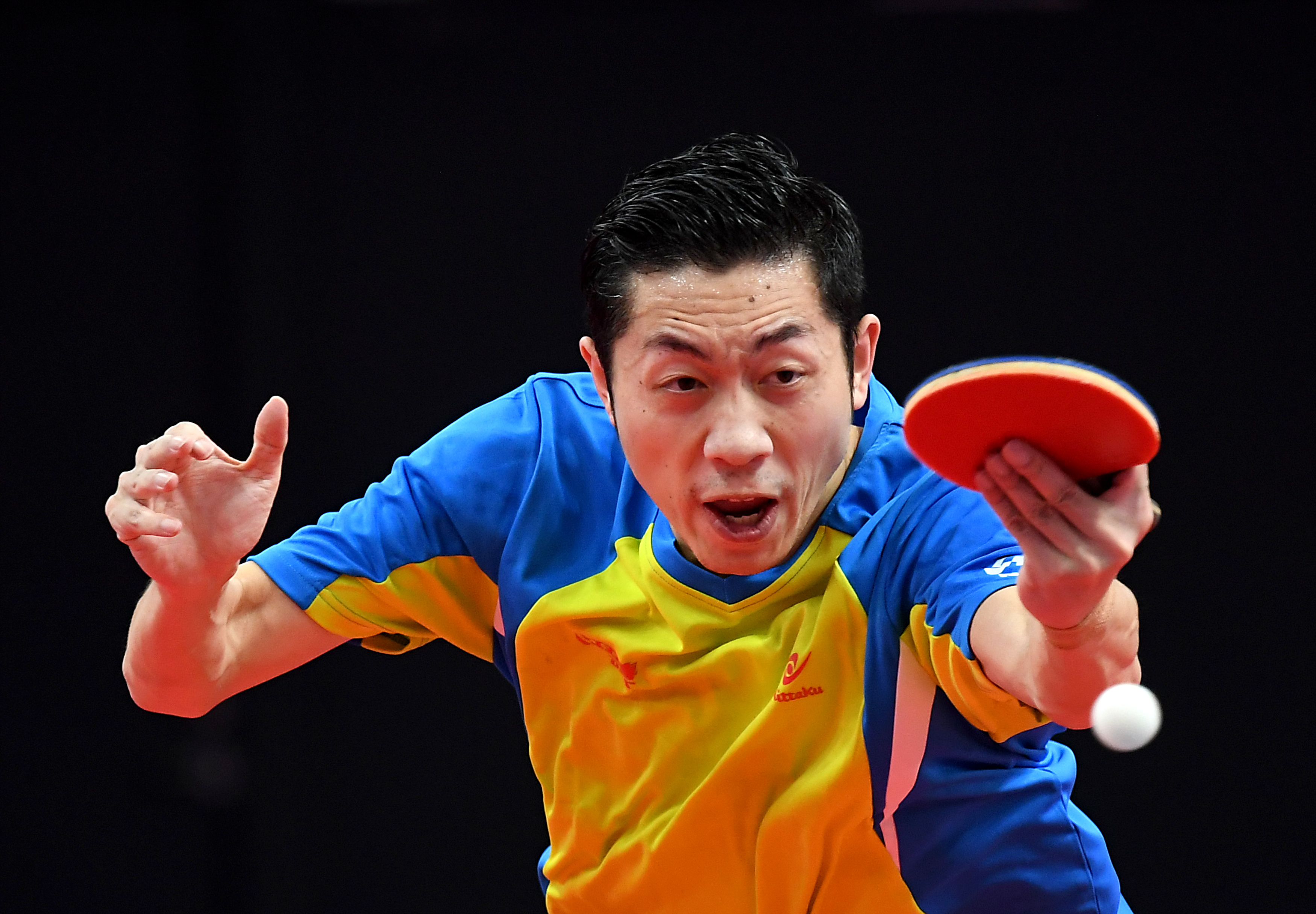 德国乒乓球队力克韩国乒乓球队，许昕惊艳世界