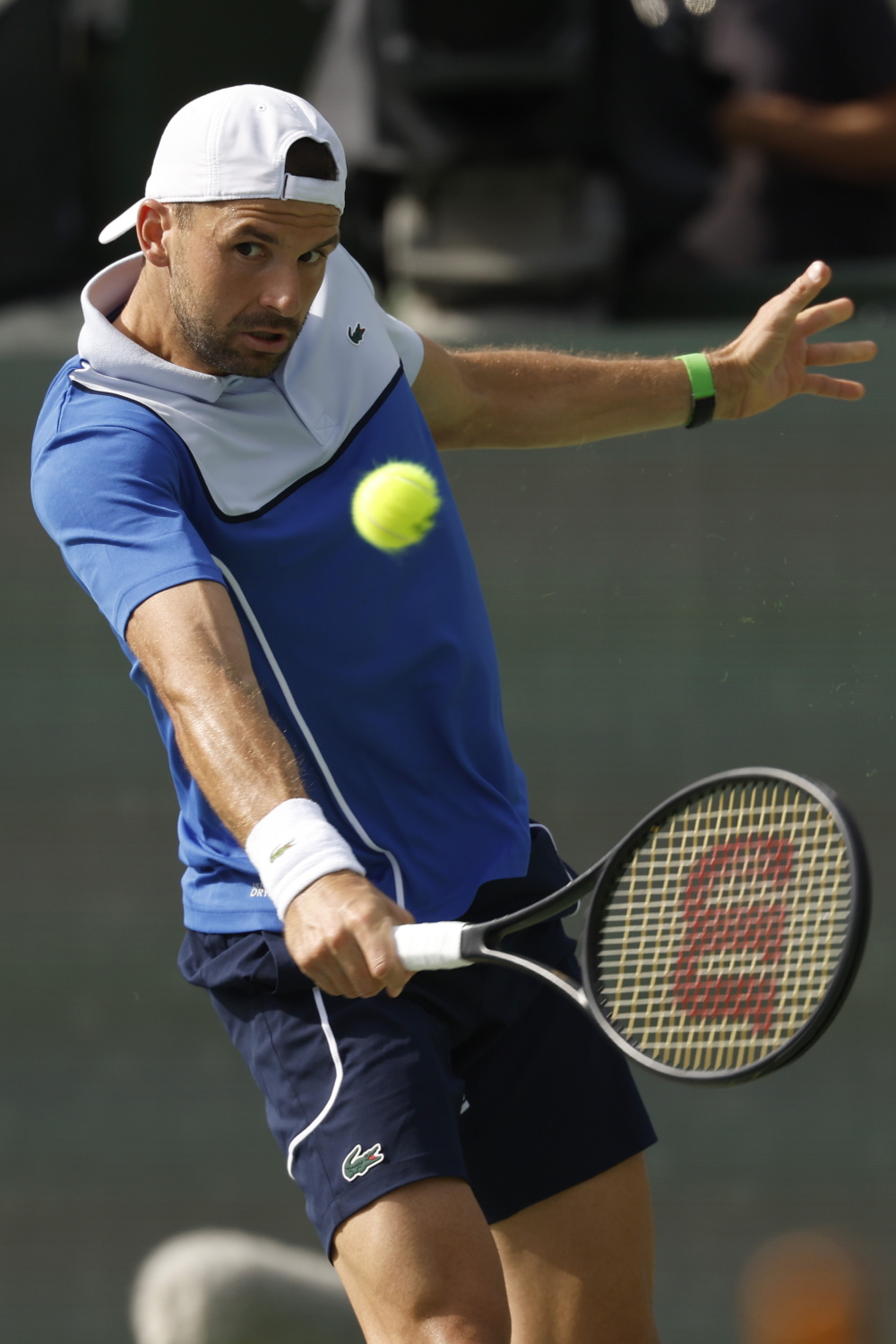 欧洲网球队力克日本网球队,梅德韦杰夫完成帽子戏法 欧洲网球队力克日本网球队,梅德韦杰夫完成帽子戏法