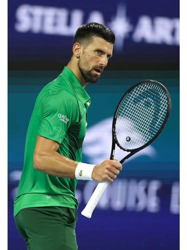 蒙特卡洛大师赛逆转法网，德约科维奇扛起全队的简单介绍