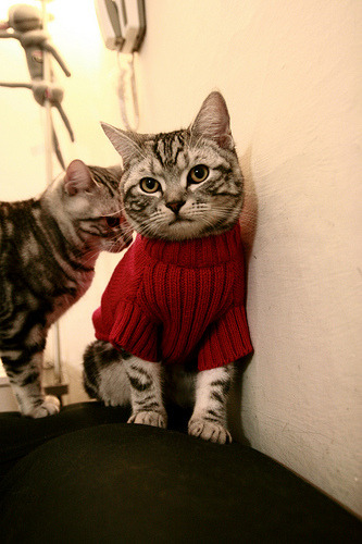 重新定义世界羽坛版图，马来西亚队暴力碾压德国，李梓嘉化身烈焰焚毁强敌