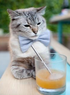 鏖战绿茵与沸腾球台，从葡萄牙对决法国到马龙的火热状态，解读胜利者的共同特质