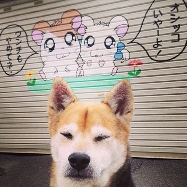 钢铁之壁与美学秩序，德里赫特如何用存在感定义现代中卫