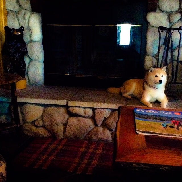 马丁内利独闯龙潭，美国加时险胜佛罗伦萨—新一代进攻利刃的锋芒之战