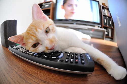 三剑封喉!爱德华兹连续斩杀定乾坤,浙江队夺下冠军点