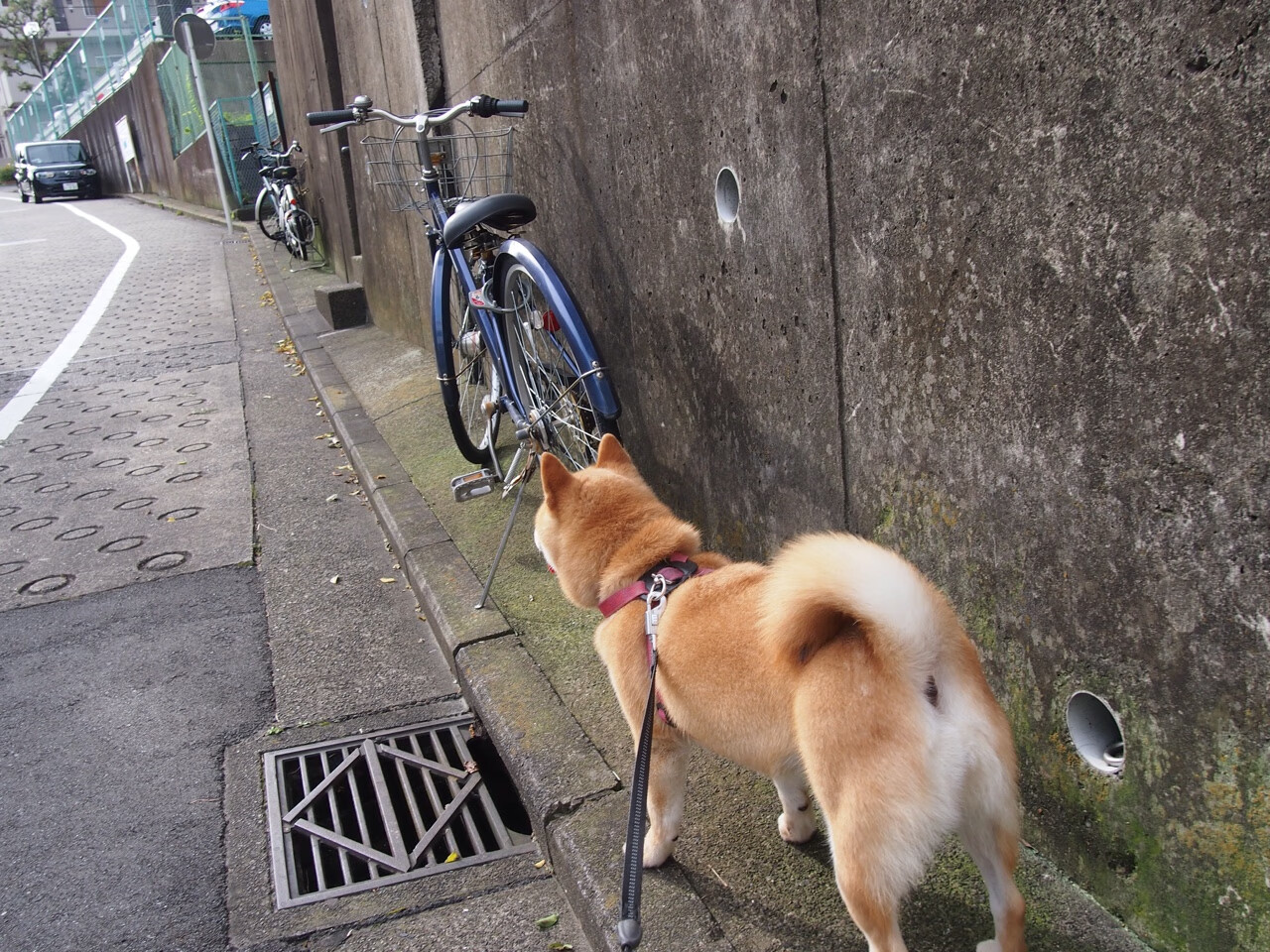 美学颠覆!贝恩的暴力美学击碎雷霆天赋论