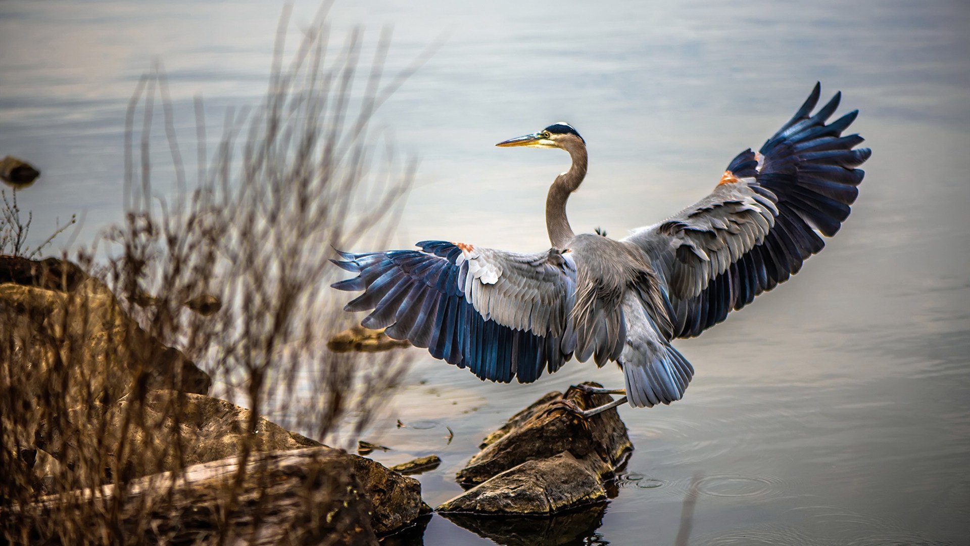 数据屠夫！广东队奇兵狂砍非人类三双，山西队禁区沦为背景板
