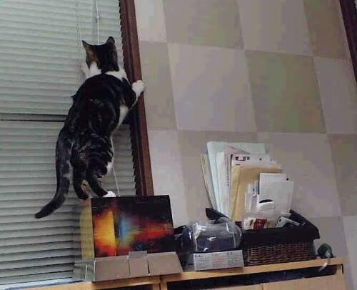 一场跨越洲际的西决,伊朗制霸雷恩背后的战略棋盘