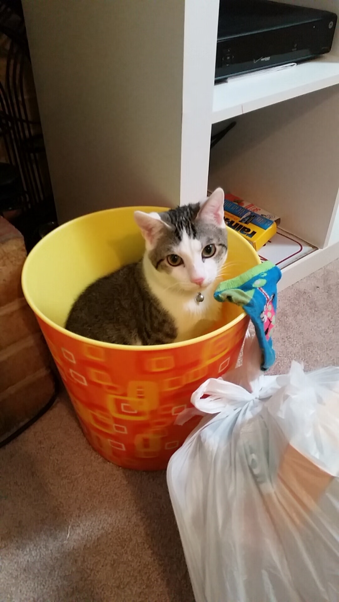 马赛的刻度，当阿克熄灭塞维利亚最后一缕光