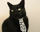 双城记，绿茵场上的生死时速与硬木地板的得分狂飙