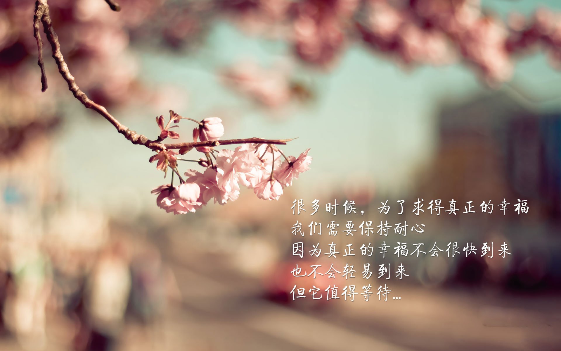 钢铁壁垒，当库尔图瓦与战术完美合谋—2026世界杯F组，德国战车为何碾不过比利时红魔