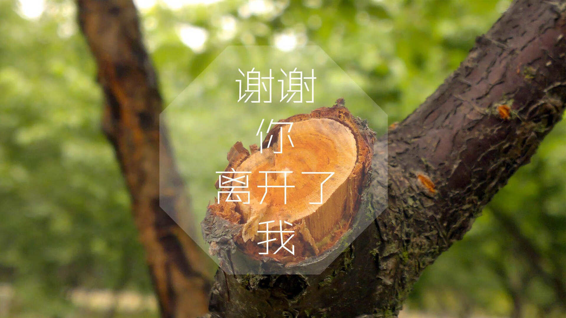 当足球碰撞文明,2026世界杯A组,印度奇迹背后的防守哲学与京多安之光