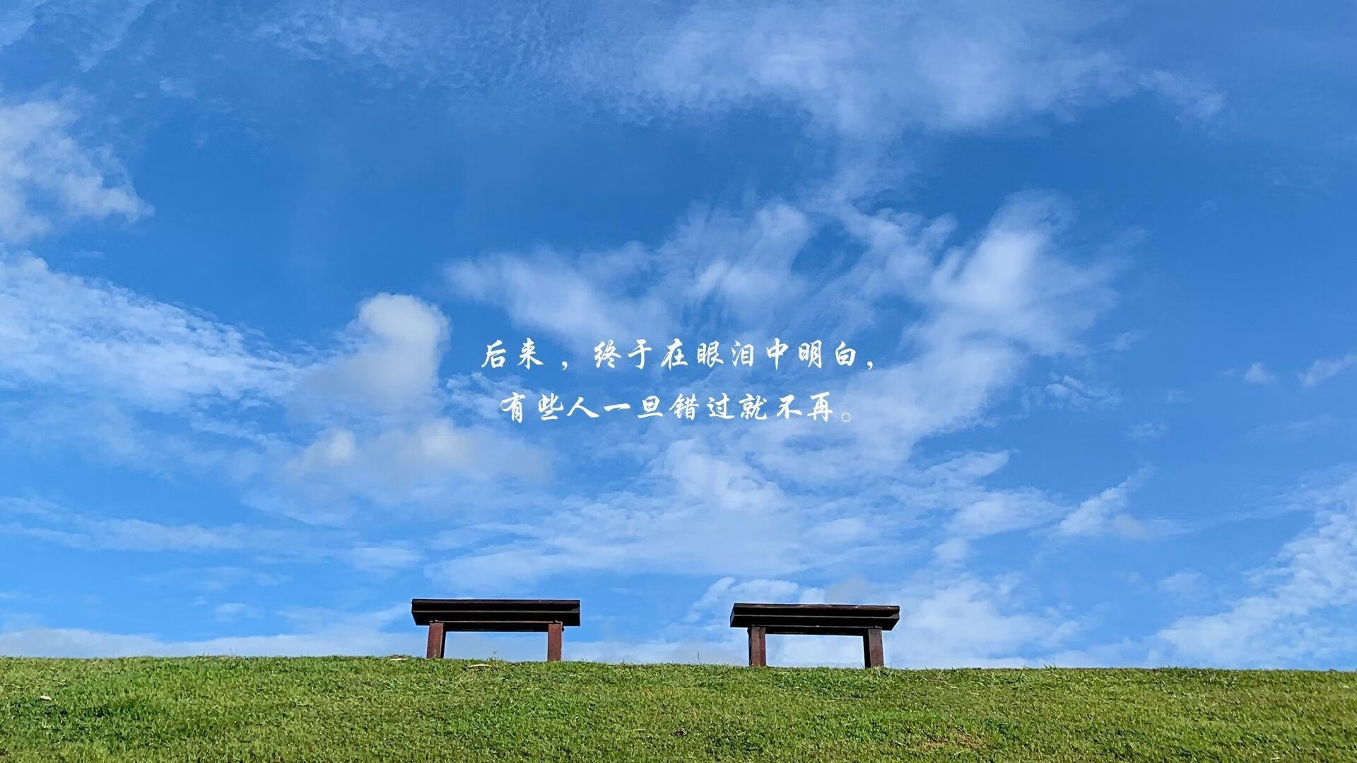 2026世界杯H组冰火两重天,斯洛伐克完胜巴西,凯恩致命一击改写足坛格局